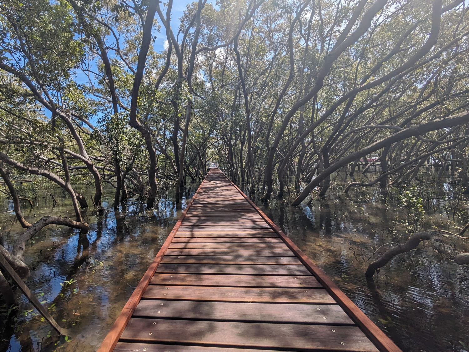 Jetties & Boardwalks