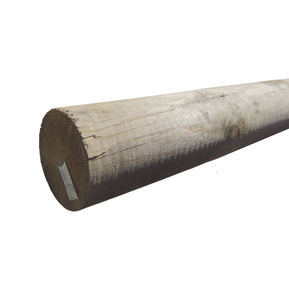 Trulog CCA Pine H4 : 100 x 2400